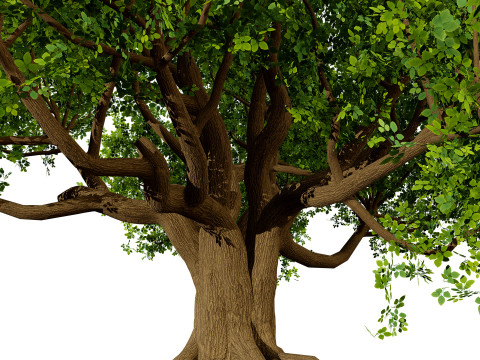 Stylized World Tree s 3D Model