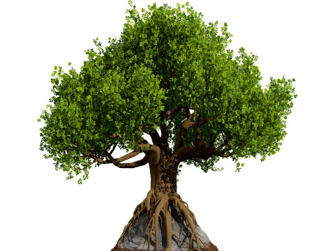 Stylized World Tree s 3D Model