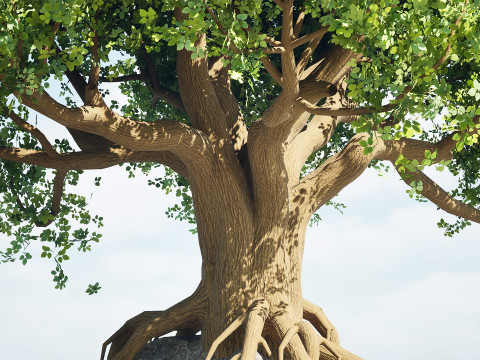 Stylized World Tree s 3D Model