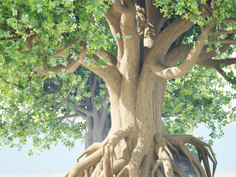 Stylized World Tree s 3D Model