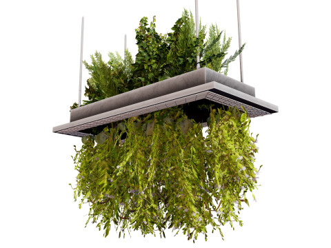 Modern Hanging Planter with Cascading Plants Modello 3D