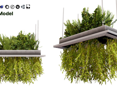 Modern Hanging Planter with Cascading Plants 3D Model