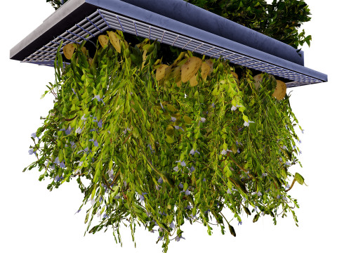 Modern Hanging Planter with Cascading Plants 3D Model