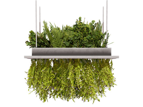 Modern Hanging Planter with Cascading Plants 3D Model