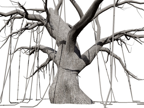 CreepyTrees 3D 模型