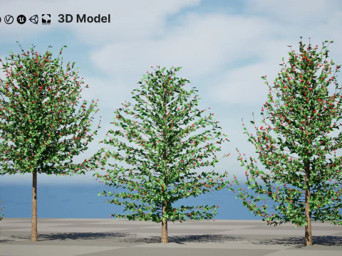 Holly Tree Collection s 3D Model