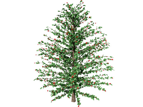 Holly Tree Collection s 3D Model