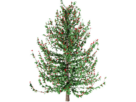 Holly Tree Collection s 3D Model