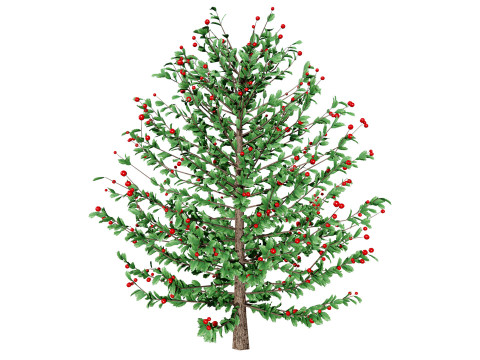 Holly Tree Collection s 3D Model