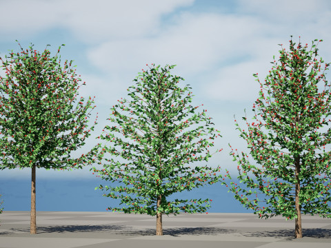 Holly Tree Collection s 3D Model