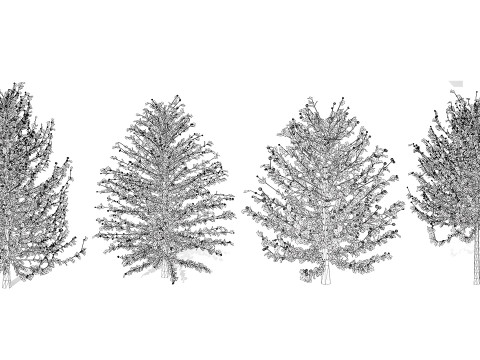 Holly Tree Collection s 3D Model