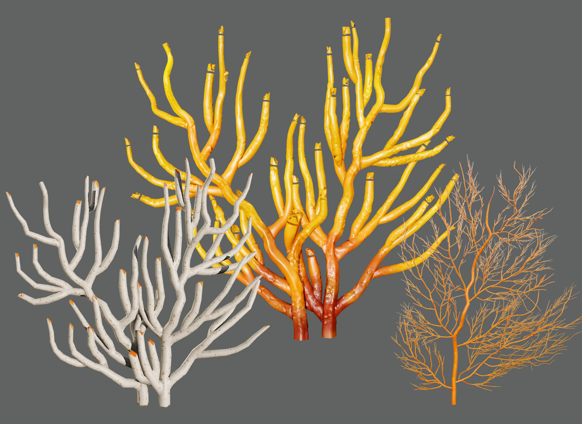 Gorgonian Coral s Pack with Free Tutorial 3D Model .c4d .max .obj .3ds .fbx .stl .blend