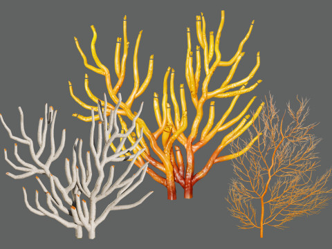 Gorgonian Coral s Pack with Free Tutorial 3D Модель