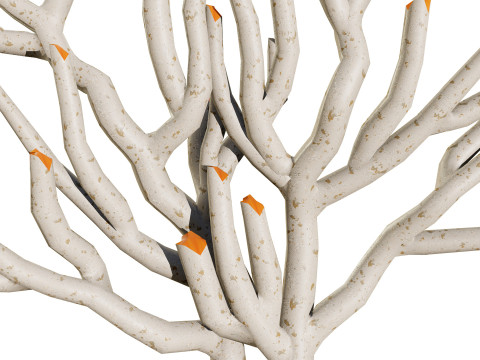 Gorgonian Coral s Pack with Free Tutorial 3D Model