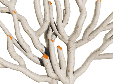 Gorgonian Coral s Pack with Free Tutorial 3D Model
