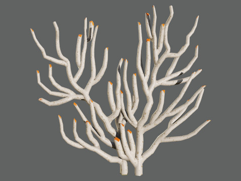 Gorgonian Coral s Pack with Free Tutorial 3D Model