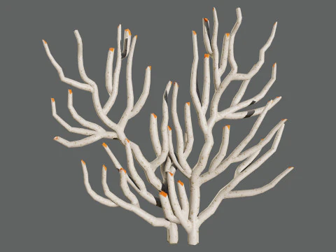 Gorgonian Coral s Pack with Free Tutorial 3D Model