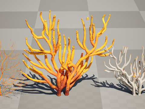 Gorgonian Coral s Pack with Free Tutorial 3D Model