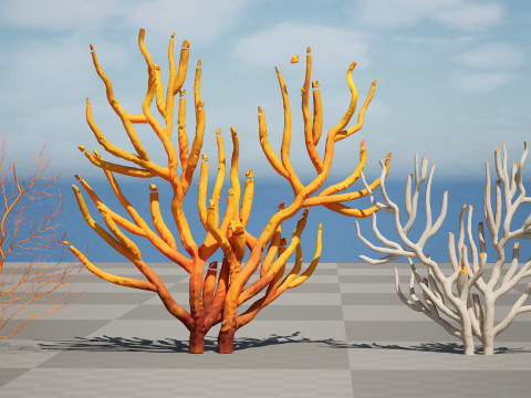 Gorgonian Coral s Pack with Free Tutorial 3D Model