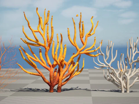 Gorgonian Coral s Pack with Free Tutorial 3D Model