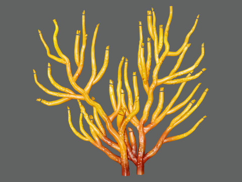 Gorgonian Coral s Pack with Free Tutorial 3D Model