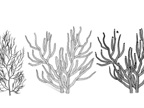 Gorgonian Coral s Pack with Free Tutorial 3D Model