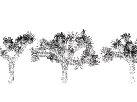 Joshua Tree s Modelo 3D