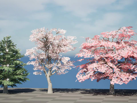 Magnolia Trees 3D Model