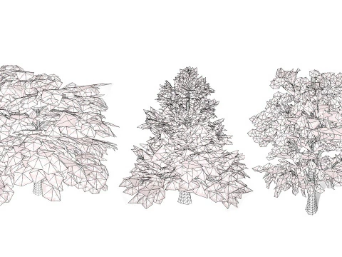 Magnolia Trees 3D Model