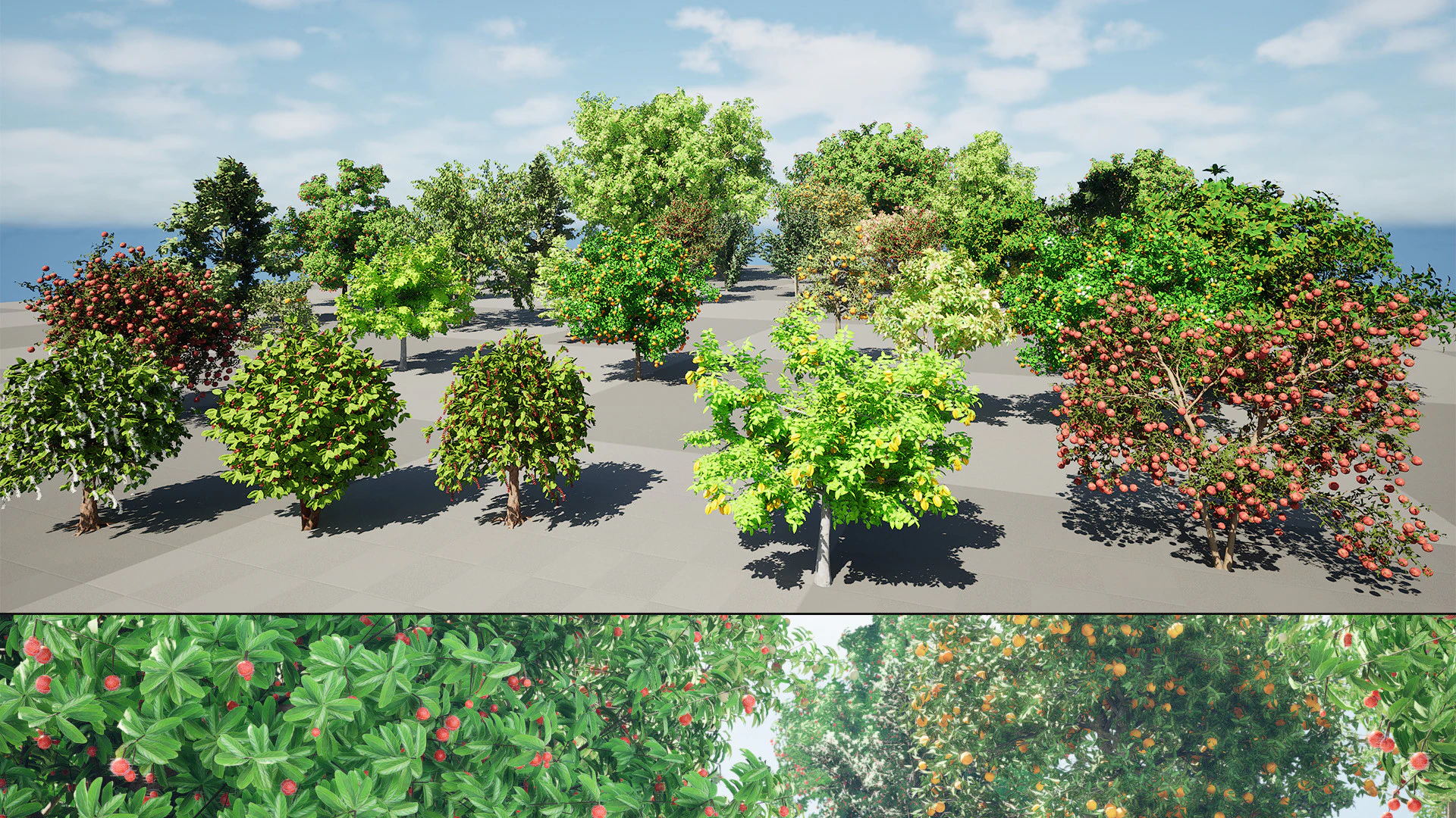 High realistic Fruit Trees 3D Collection 01 3D Model .c4d .max .obj .3ds .fbx .stl .blend 