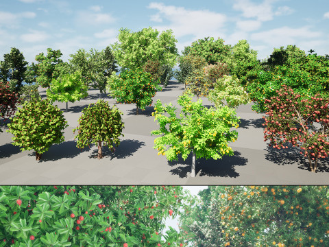 High realistic Fruit Trees 3D Collection 01 3D मॉडल