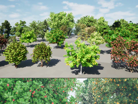 高リアルな果樹 3D コレクション 01 3Dモデル