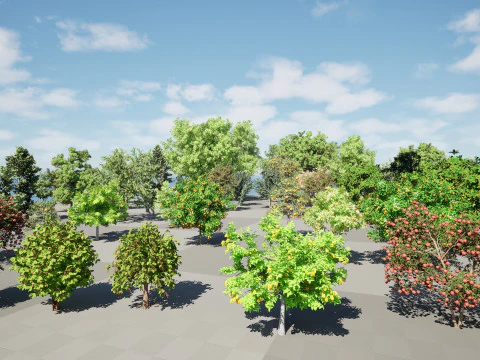 High realistic Fruit Trees 3D Collection 01 3D Model