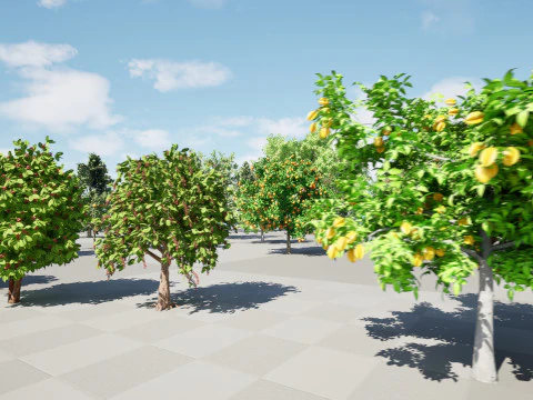 High realistic Fruit Trees 3D Collection 01 3D Model