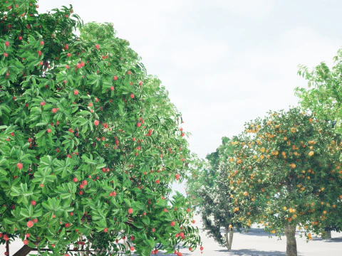 High realistic Fruit Trees 3D Collection 01 3D Model