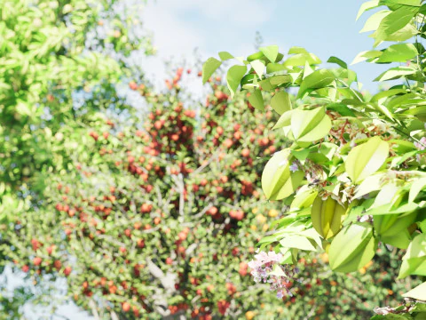 High realistic Fruit Trees 3D Collection 01 3D Model