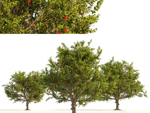 High realistic Fruit Trees 3D Collection 01 3D Model