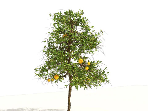 High realistic Fruit Trees 3D Collection 01 3D Model