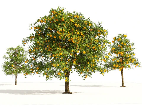 High realistic Fruit Trees 3D Collection 01 3D Model