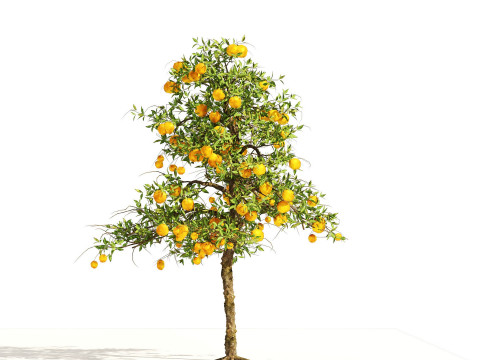 High realistic Fruit Trees 3D Collection 01 Modelo 3D