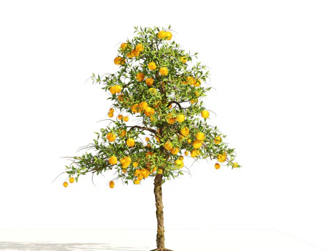High realistic Fruit Trees 3D Collection 01 3D Model