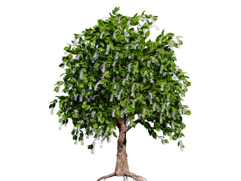 High realistic Fruit Trees 3D Collection 01 Modelo 3D