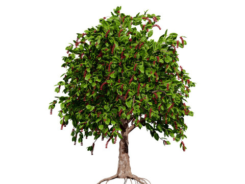 High realistic Fruit Trees 3D Collection 01 Modelo 3D
