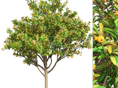 High realistic Fruit Trees 3D Collection 01 3D Model