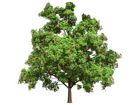 High realistic Fruit Trees 3D Collection 01 3D Model