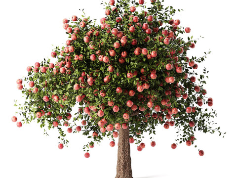High realistic Fruit Trees 3D Collection 01 Modelo 3D