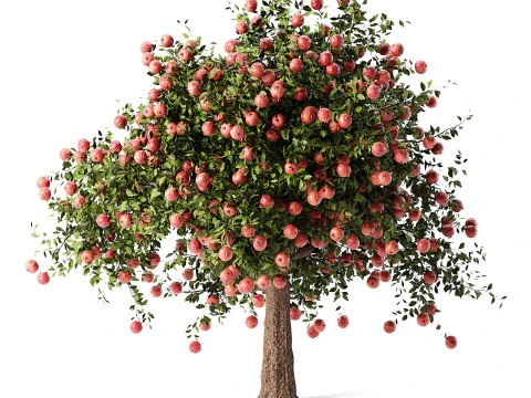 High realistic Fruit Trees 3D Collection 01 3D Model