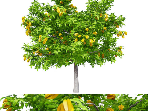 High realistic Fruit Trees 3D Collection 01 Modelo 3D
