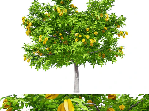 High realistic Fruit Trees 3D Collection 01 3D Model