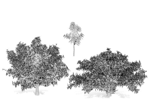 High realistic Fruit Trees 3D Collection 01 Modelo 3D